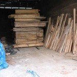 maple lumber for sale